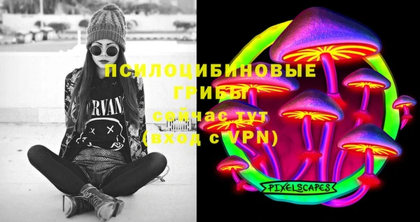 PSILOCYBIN Абинск