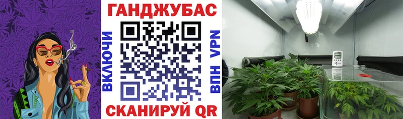 наркота  Мосальск  Конопля Ganja 
